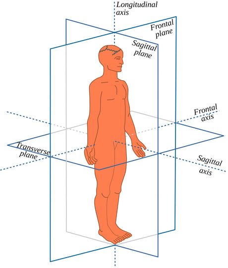4 Planes of the Body