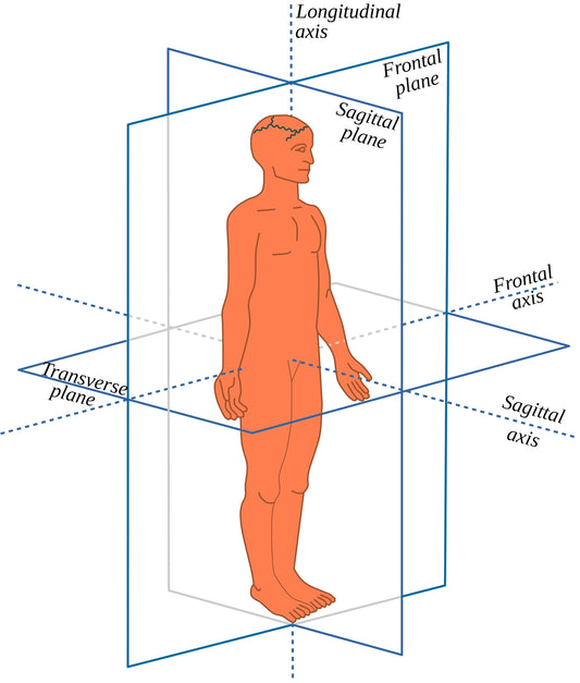 4 Planes of the Body