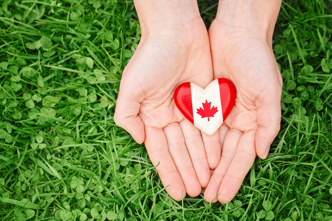 Canada pin in nurses hands on grass