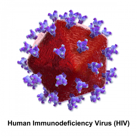 Immunology Review: Your Comprehensive Guide to HIV
