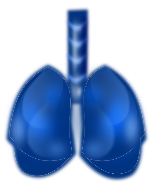 Blue lungs illustration