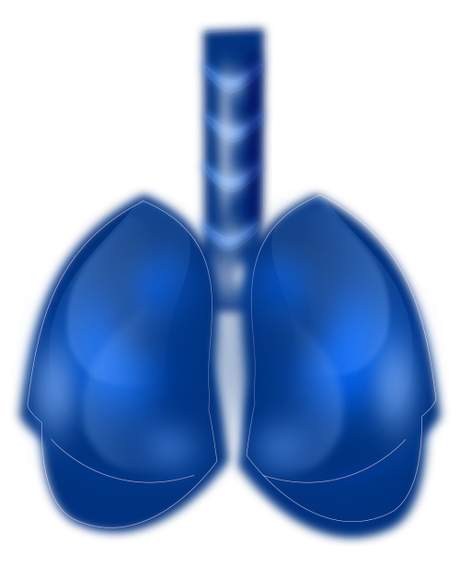 Blue lungs illustration