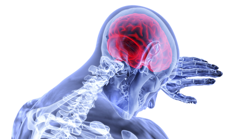 brain