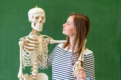 Skeleton with Nursing Student