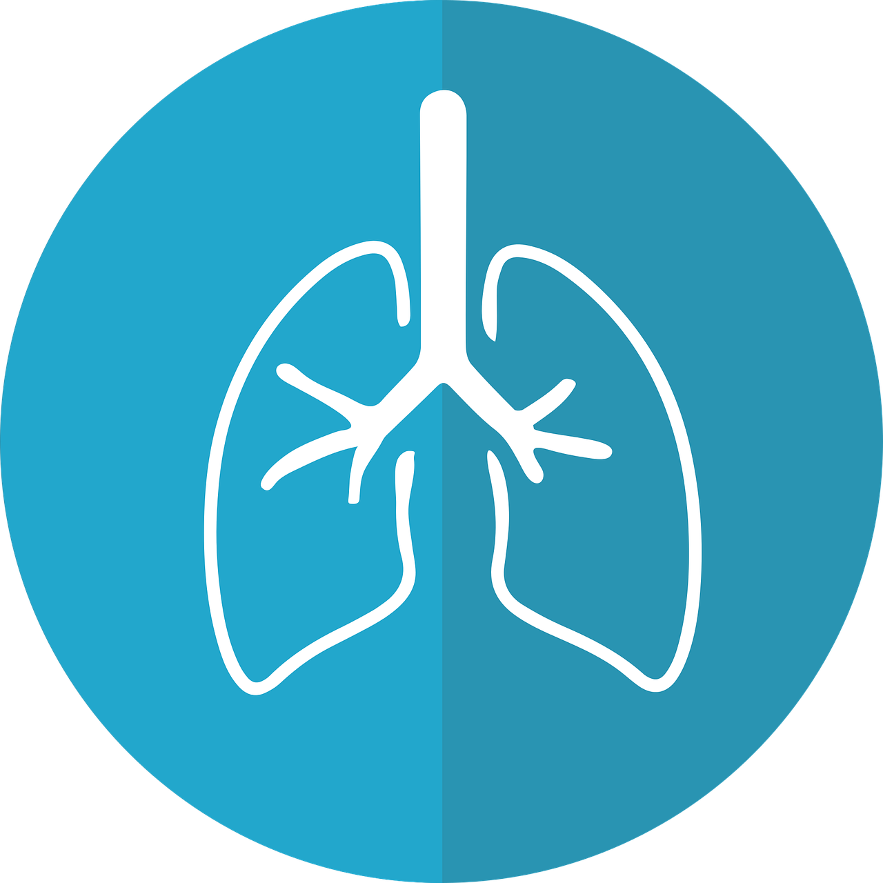 Lungs logo