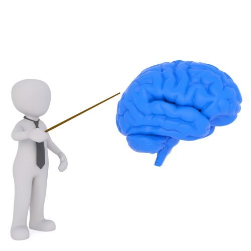 Overview of the Endocrine System & Pituitary Gland Pt 1
