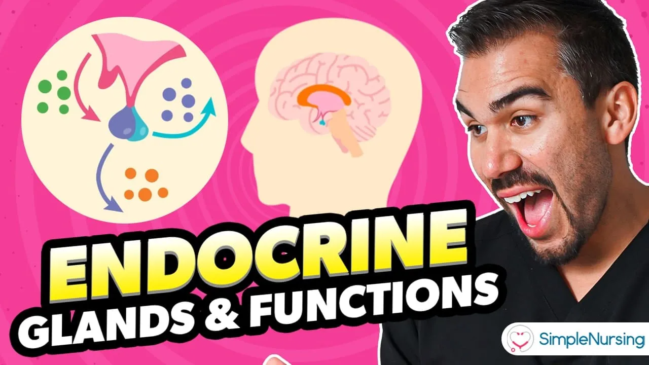 Endocrine Glands Practice Questions with Answers and NCLEX® Review