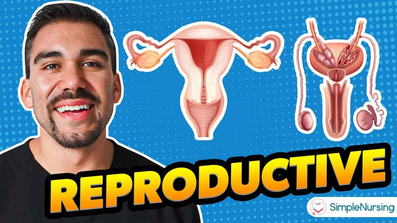 Reproductive, Labor, & Delivery Drugs Practice Questions with Answers and NCLEX® Review
