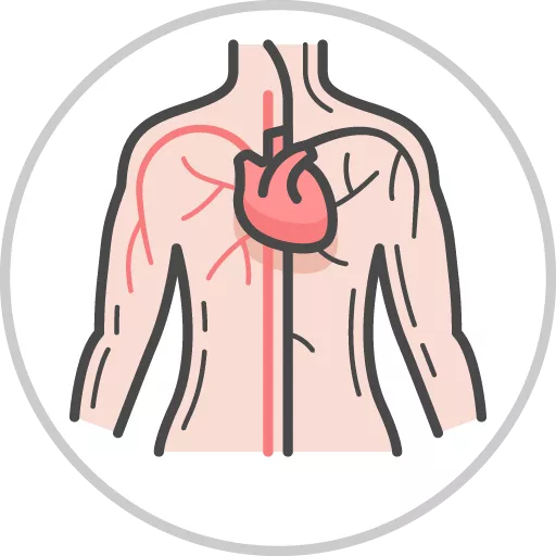 Circulatory