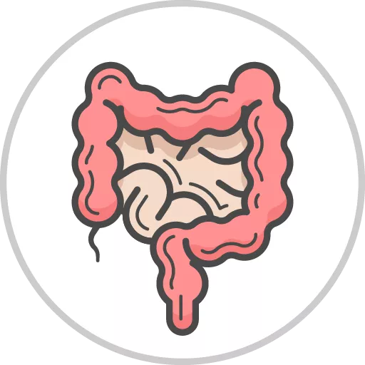 GI (Gastrointestinal) (Adult Health)