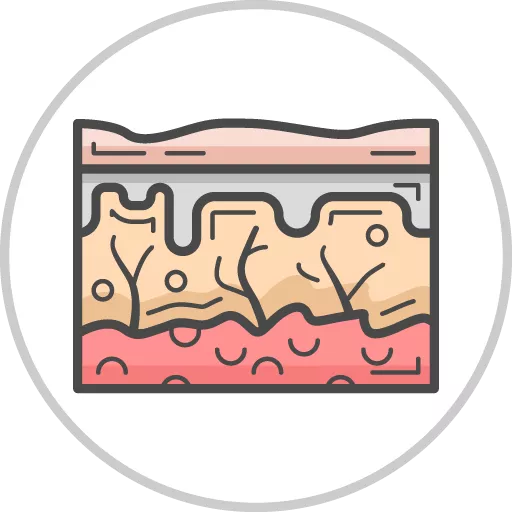Integumentary