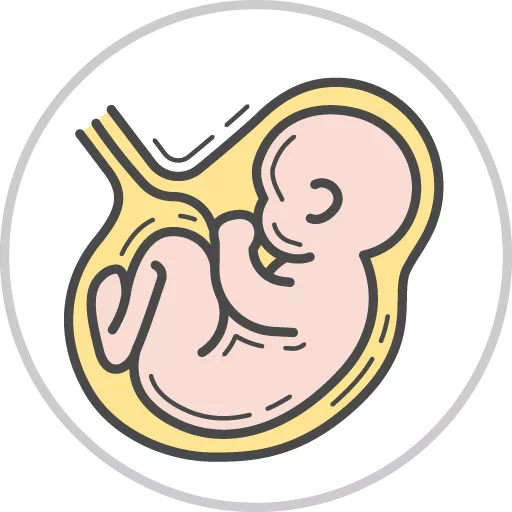 Labor & Delivery