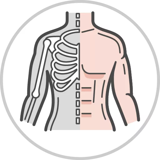 Musculoskeletal (patho)