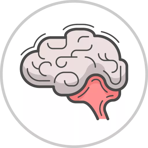 Neurological & Brain (Adult Health)