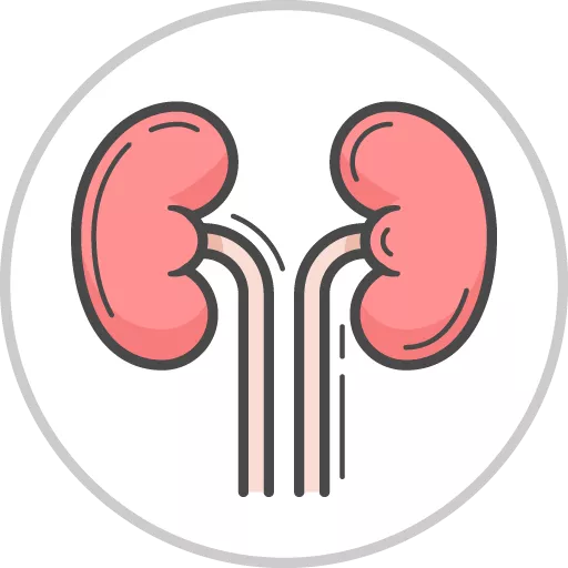 Renal & Urinary (Child Health)
