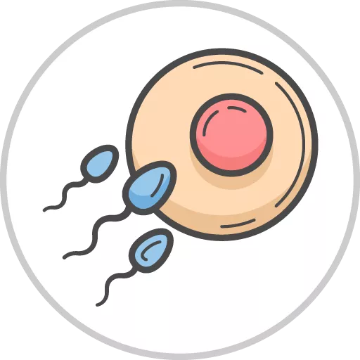 Reproductive