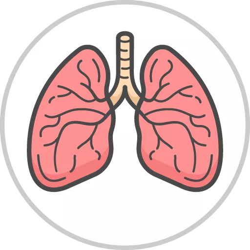 Respiratory